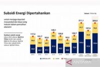 subsidi-pemerintah-untuk-bisnis-kecil_e1b9bbbf5.jpg